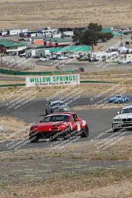 media/May-03-2025-Lucky Dog Racing (Sat) [[206de64b9d]]/Turn 4 A (3pm-4pm)/